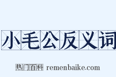 小毛公反义词是什么意思的图片